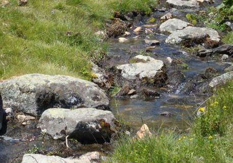 Beschrijving: 20070717-R01208-bulgaria-creek-cropped-500pix